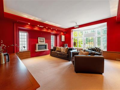 Picture 8